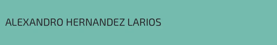 ALEXANDRO HERNANDEZ LARIOS
